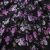 Плательная ткань "Фламенко" 20.1, 80 гр/м2, шир.150 см, принт растительный - купить в Новом Уренгое. Цена 241.49 руб.