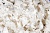 Тесьма плетеная "Рюш" с жемугом №2 (уп.13 м), цв.-молочный  - купить в Новом Уренгое. Цена: 46.82 руб.