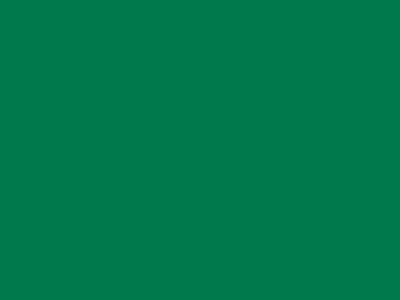 70 см № 258 св. зеленый молнии спираль - купить в Новом Уренгое. Цена: 14.28 руб.