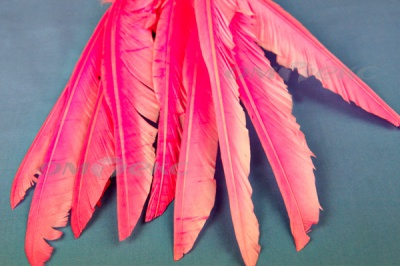 Декоративный Пучок из перьев, перо 25см/розовый - купить в Новом Уренгое. Цена: 14.40 руб.