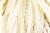 Тесьма декоративная "Шнур-косичка" - купить в Новом Уренгое. Цена: 2.31 руб.