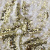 Трикотажное полотно, Сетка с пайетками, шир.130 см, #315, цв.-белый/золото - купить в Новом Уренгое. Цена 693.39 руб.