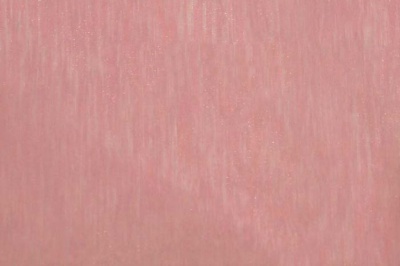 Органза однотонная "Амелия" С19 (Розовый) 280 см - купить в Новом Уренгое. Цена 303.09 руб.