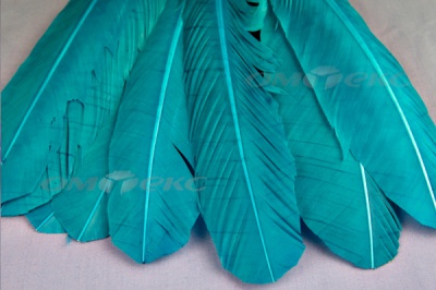 Декоративный Пучок из перьев, перо 24см/голубой - купить в Новом Уренгое. Цена: 12.19 руб.