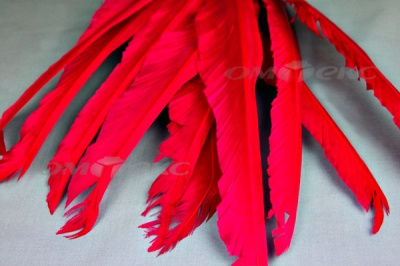 Декоративный Пучок из перьев, перо 25см/фуксия - купить в Новом Уренгое. Цена: 12.19 руб.