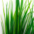 Трава искусственная -2, шт (осока 41см/8 см)				 - купить в Новом Уренгое. Цена: 104.57 руб.