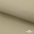 Ткань подкладочная TWILL 230T 14-1108, беж светлый 100% полиэстер,66 г/м2, шир.150 cм - купить в Новом Уренгое. Цена 90.59 руб.