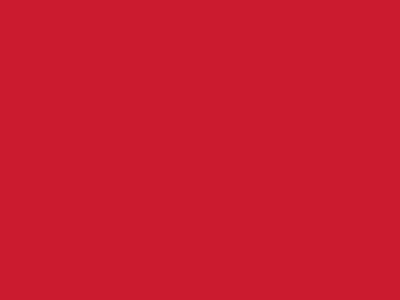 Сетка подкладочная красный, 60г/м2 (10 м/кг) - купить в Новом Уренгое. Цена 885.73 руб.
