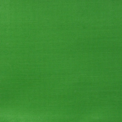Ткань подкладочная Таффета 17-6153, 48 гр/м2, шир.150см, цвет трава - купить в Новом Уренгое. Цена 54.64 руб.