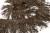 008-коричневый, Бахрома арт.001 шир.10см (упак.12+/-0,5м) - купить в Новом Уренгое. Цена: 1 017.33 руб.