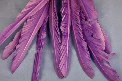 Декоративный Пучок из перьев, перо 25см/фиолетовый - купить в Новом Уренгое. Цена: 12.19 руб.