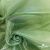 Ткань органза, 100% полиэстр, 28г/м2, шир. 150 см, цв. #27 зеленый - купить в Новом Уренгое. Цена 86.24 руб.