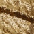 Сетка с пайетками №3, 188 гр/м2, шир.140см, цвет золотой - купить в Новом Уренгое. Цена 454.12 руб.