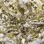 Трикотажное полотно, Сетка с пайетками, шир.130 см, #315, цв.-белый/золото - купить в Новом Уренгое. Цена 693.39 руб.