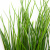 Трава искусственная -4, шт  (осока 50 см/8 см  7 листов)				 - купить в Новом Уренгое. Цена: 130.73 руб.