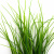 Трава искусственная -3, шт (осока 50 см/8 см  5 листов)				 - купить в Новом Уренгое. Цена: 124.17 руб.